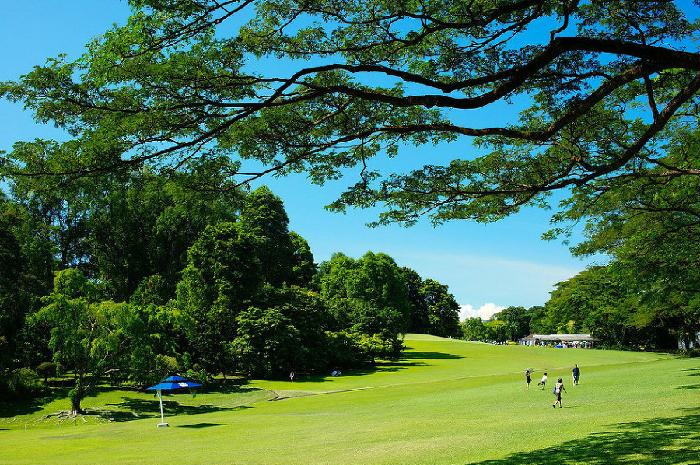 Ŭ���ϸ� ���� �������� �̹����� ���Ǽ� �ֽ��ϴ�.